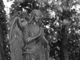Alter Friedhof in Freiburg