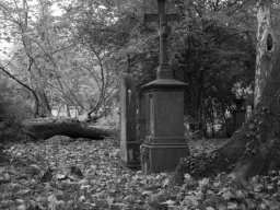 Alter Friedhof in Freiburg