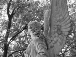 Alter Friedhof in Freiburg