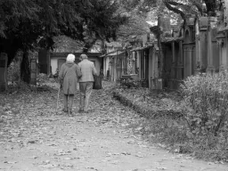 Alter Friedhof in Freiburg
