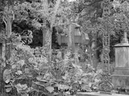 Alter Friedhof in Freiburg