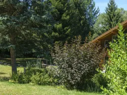 Chalet in den Vogesen
