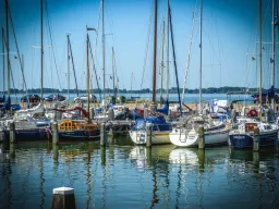 Holland 2019