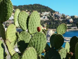 Côte d’Azur Nizza