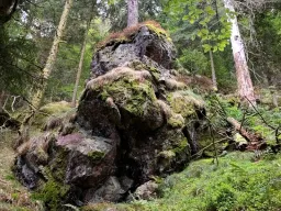 Wanderungen